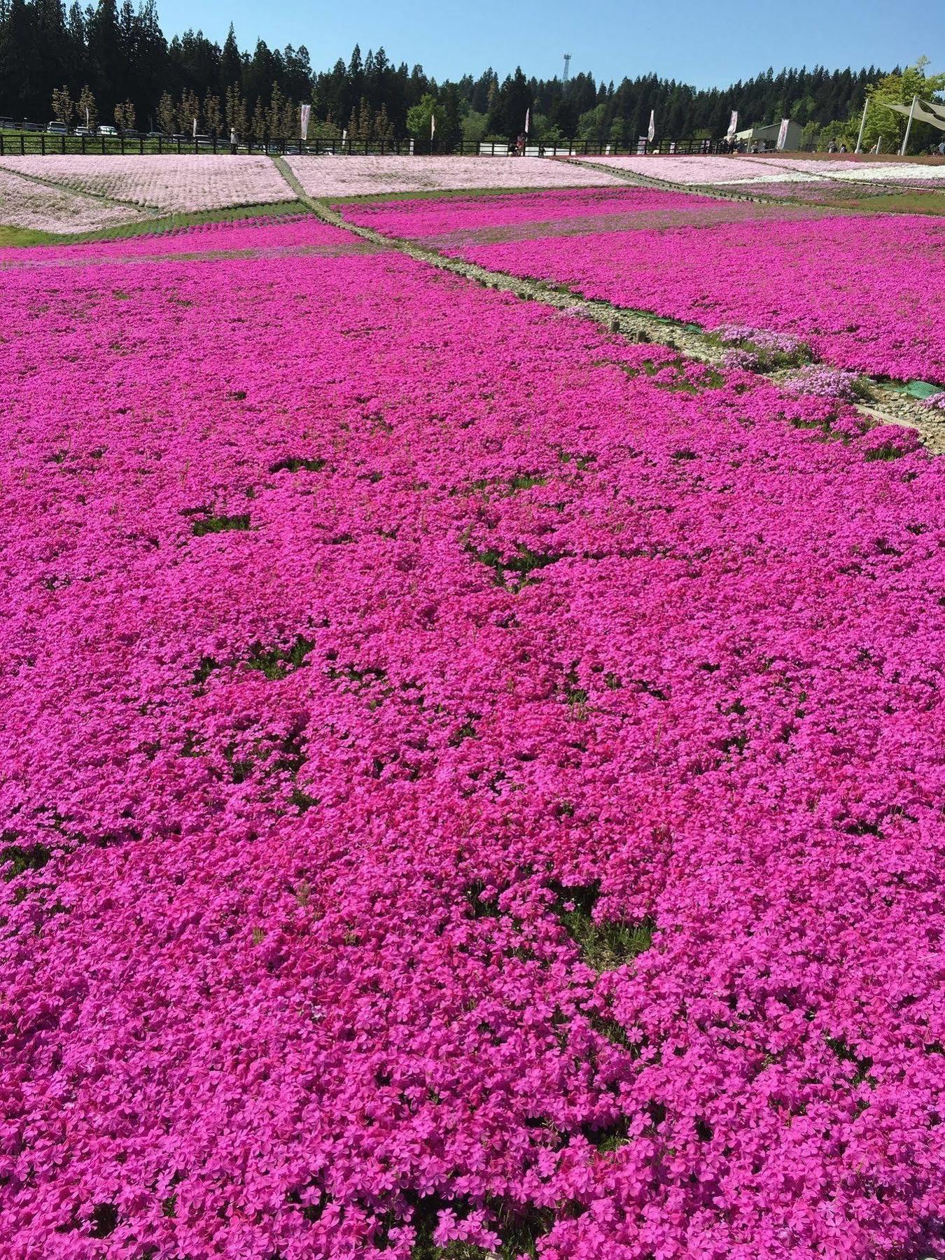 Hotel Kutsurogian Minamiuonuma Esterno foto